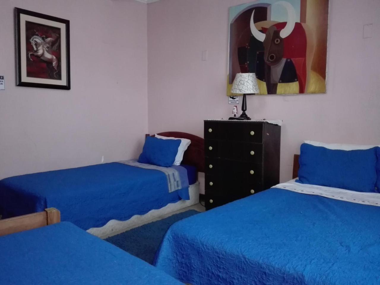 Hotel De Talca Talca  Kültér fotó